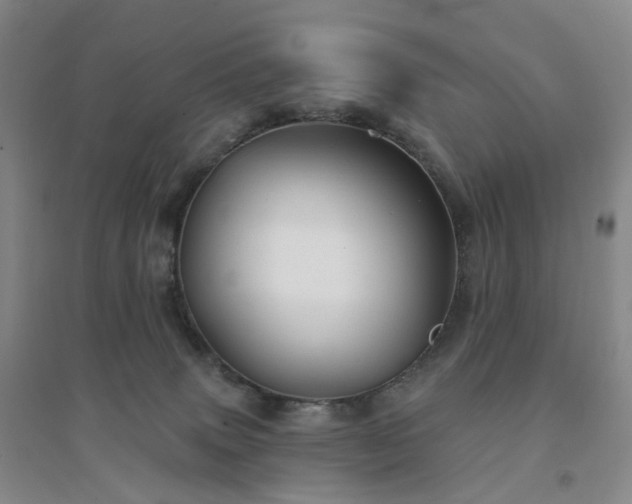 X0000094460083200711151459