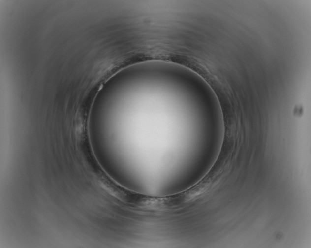 X0000094460084200711151459
