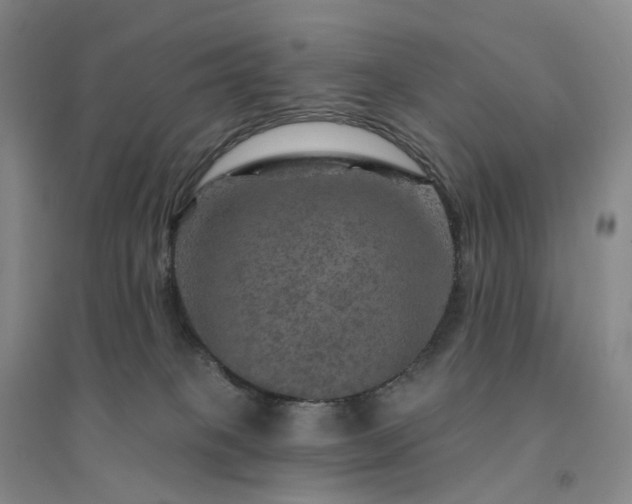 X0000094460085200711151459