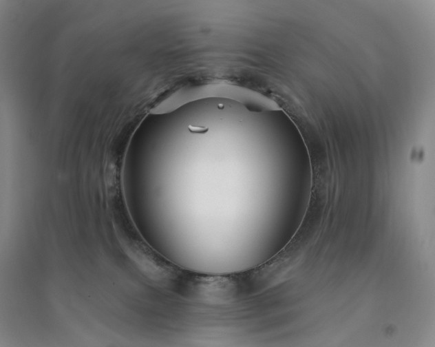 X0000094460087200711151459