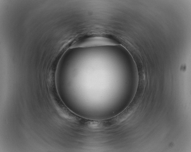 X0000094460088200711151459