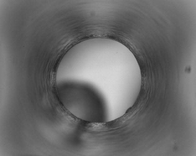 X0000094460093200711151459