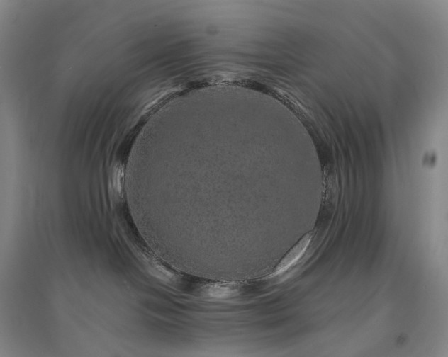 X0000094460094200711151459