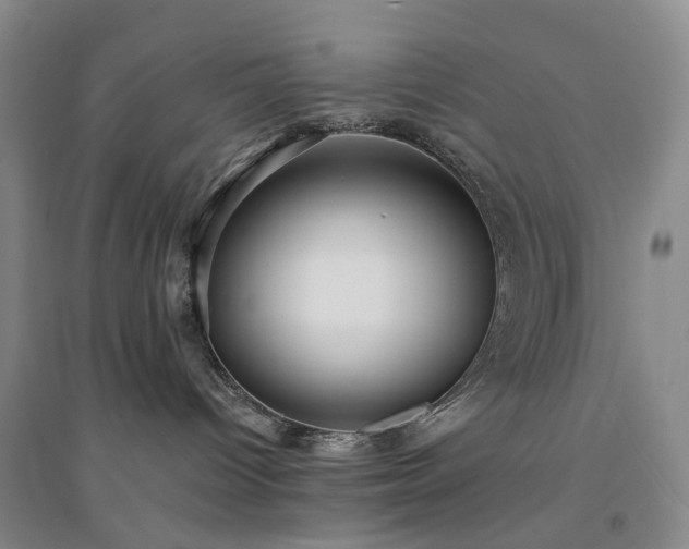 X0000094460096200711151459