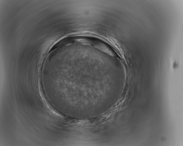 X0000094460097200711151459