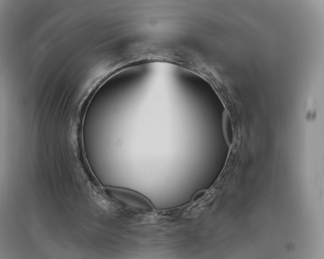 X0000094460098200711151459