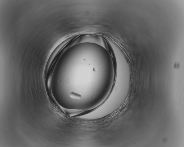 X0000094460100200711151459