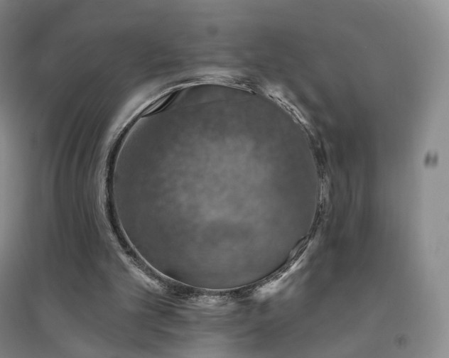 X0000094460101200711151459