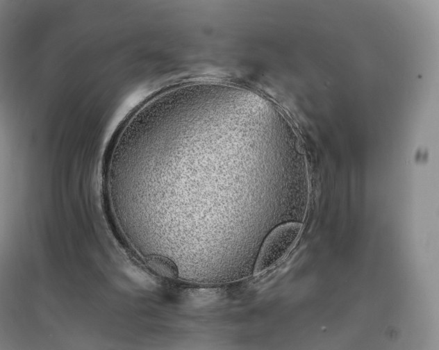 X0000094460102200711151459
