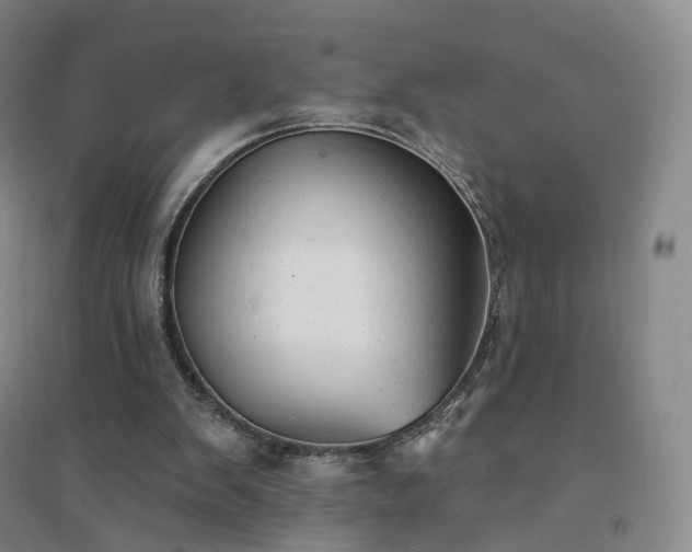 X0000094460103200711151459