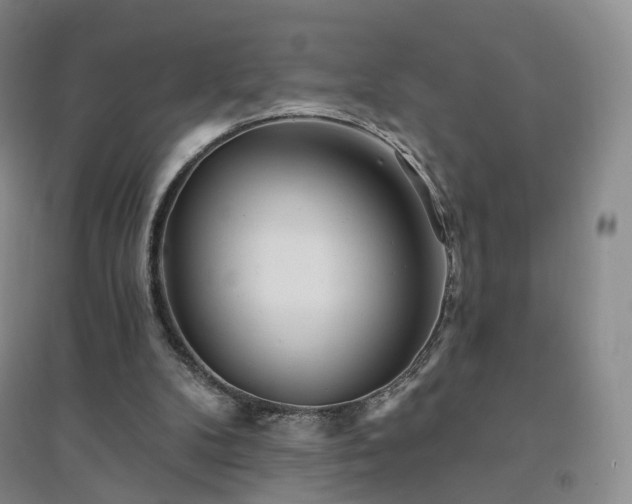 X0000094460104200711151459