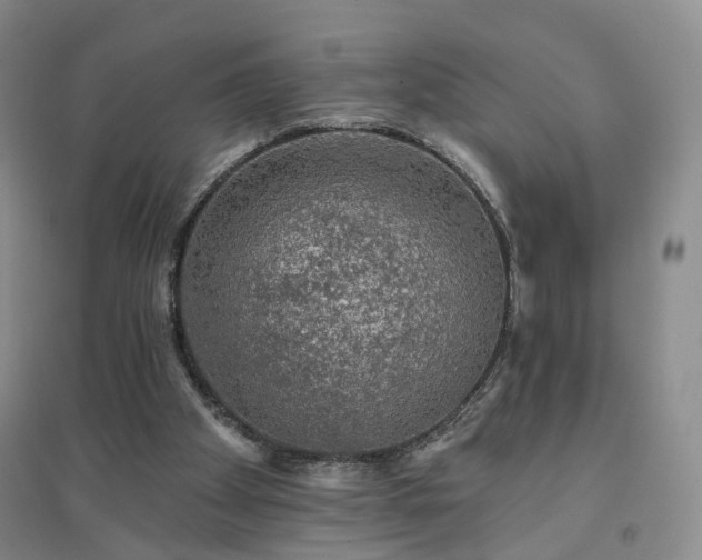 X0000094460105200711151459