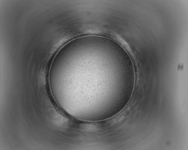 X0000094460106200711151459
