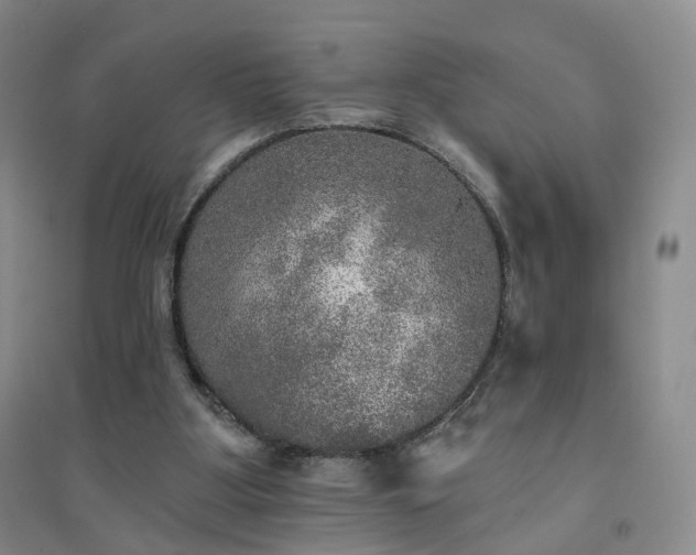X0000094460107200711151459