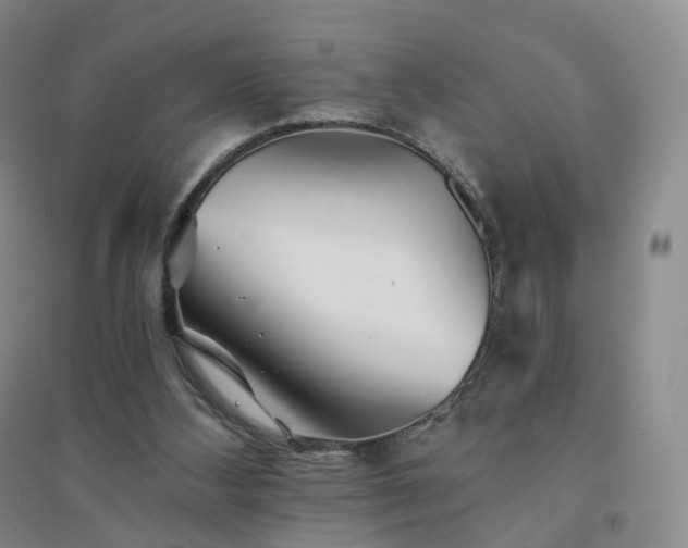 X0000094460108200711151459