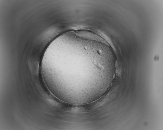 X0000094460109200711151459