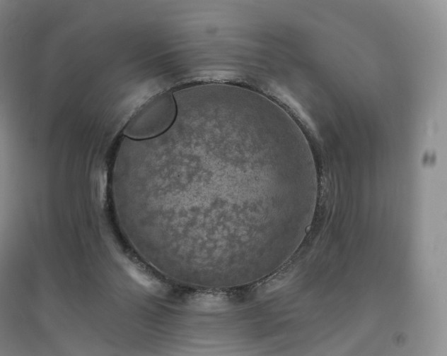 X0000094460110200711151459