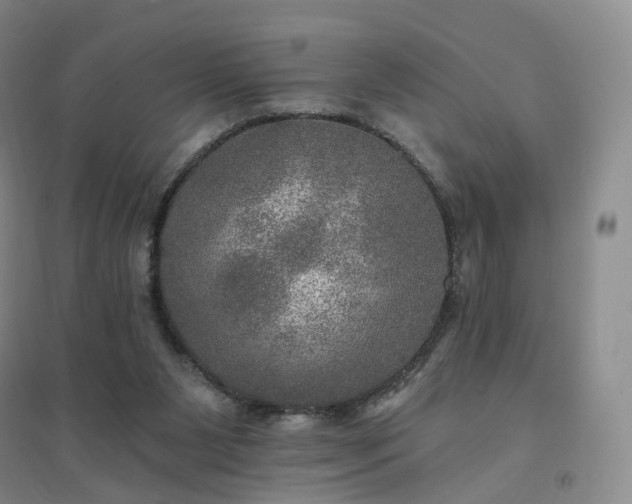 X0000094460111200711151459