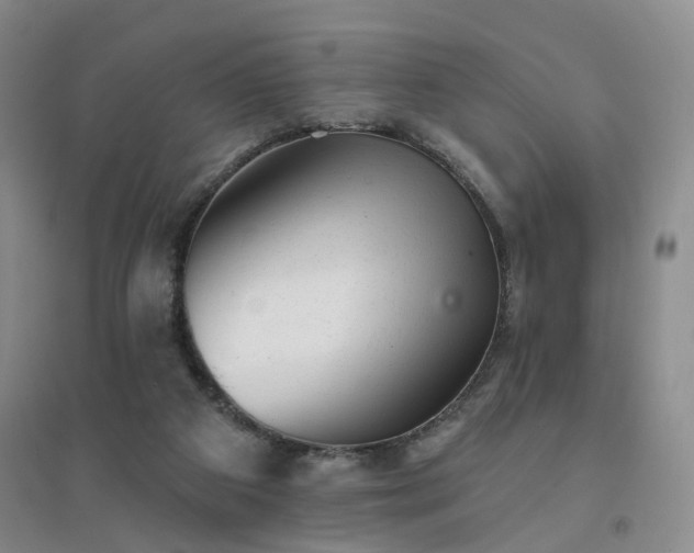 X0000094460113200711151459