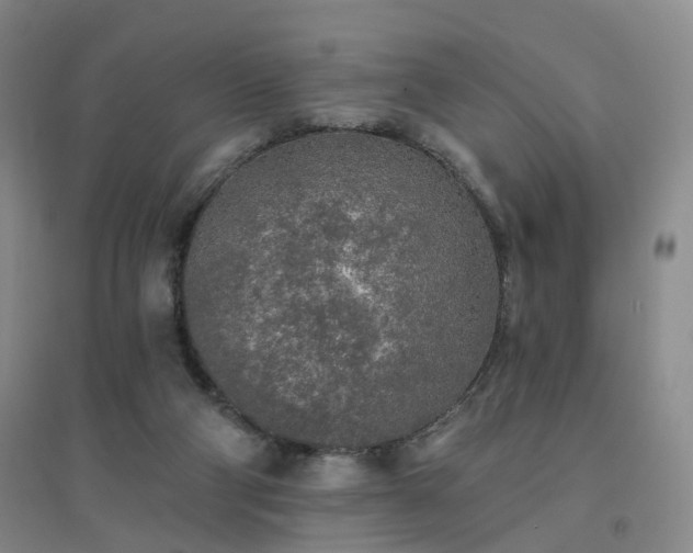 X0000094460114200711151459