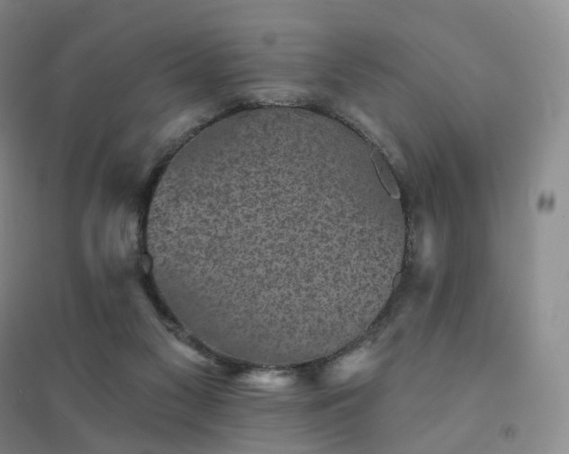 X0000094460117200711151459