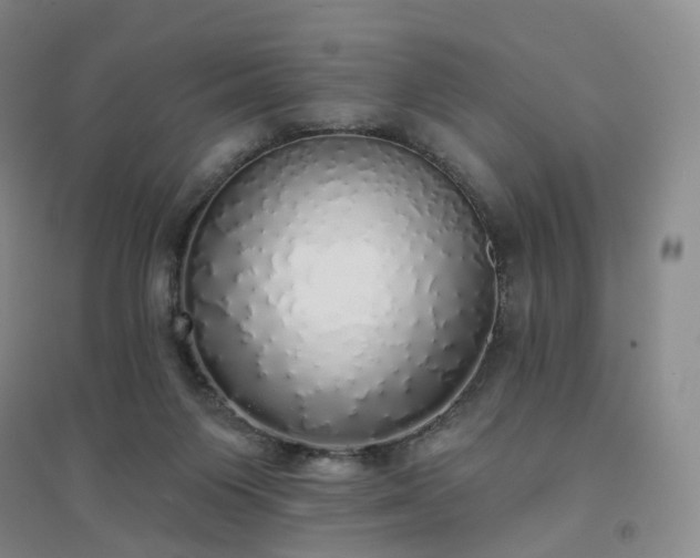 X0000094460119200711151459