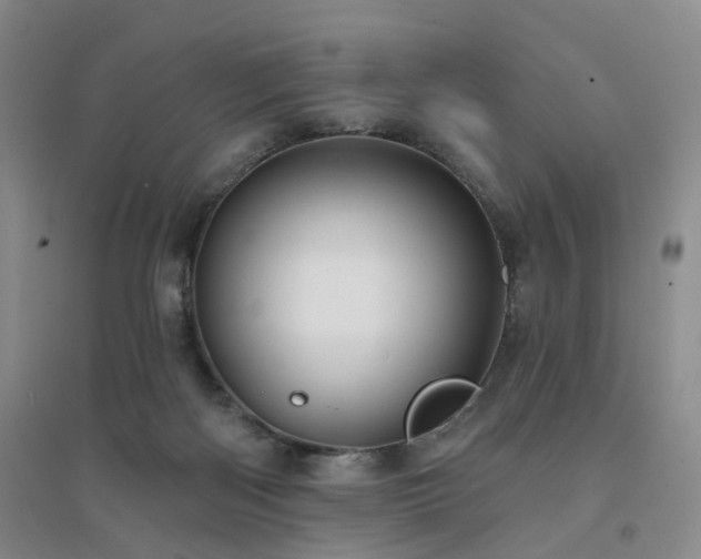 X0000094460122200711151458