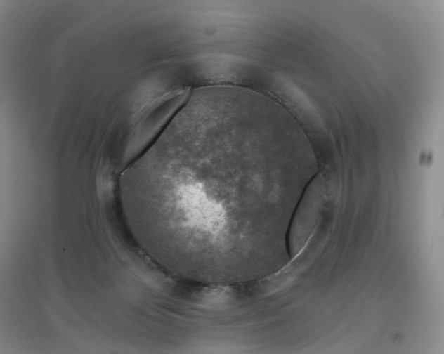 X0000094460124200711151458