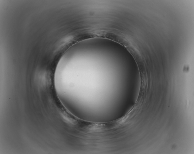 X0000094460128200711151458