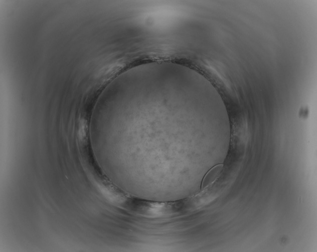 X0000094460130200711151458