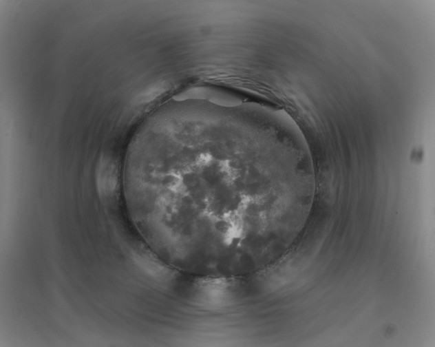 X0000094460131200711151458
