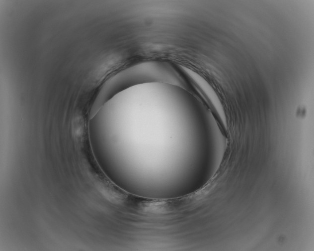 X0000094460132200711151458
