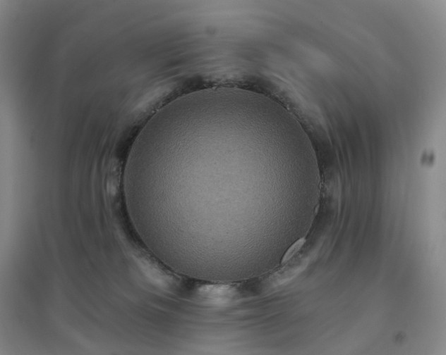 X0000094460133200711151458