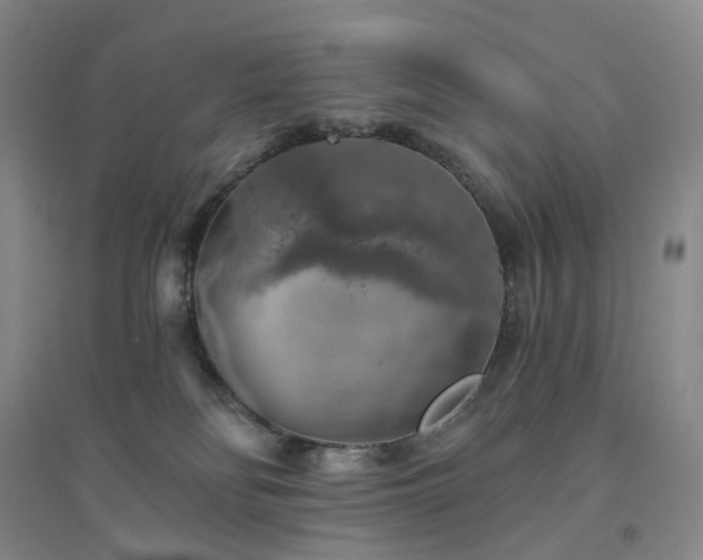 X0000094460134200711151458