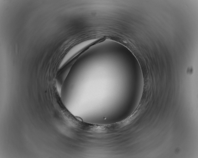 X0000094460140200711151458