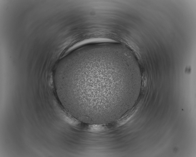 X0000094460141200711151458