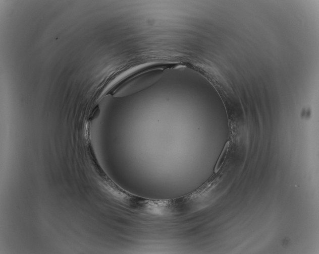 X0000094460143200711151458