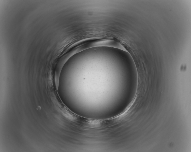 X0000094460144200711151458