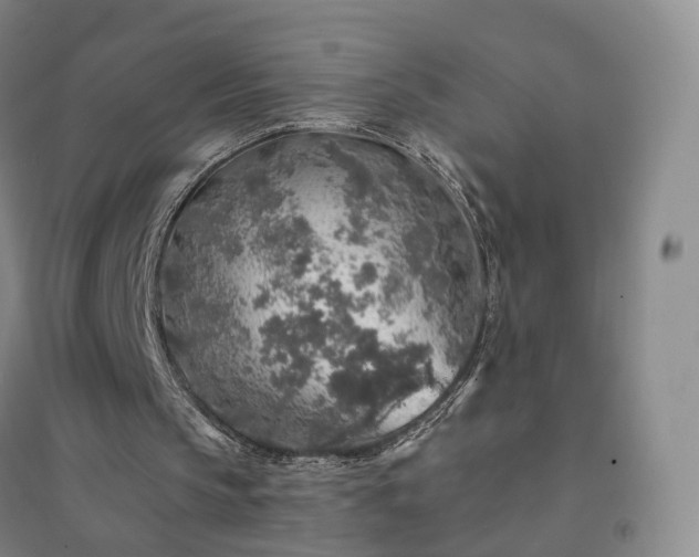 X0000094460145200711151457