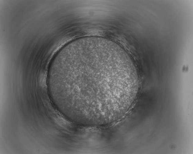 X0000094460146200711151458