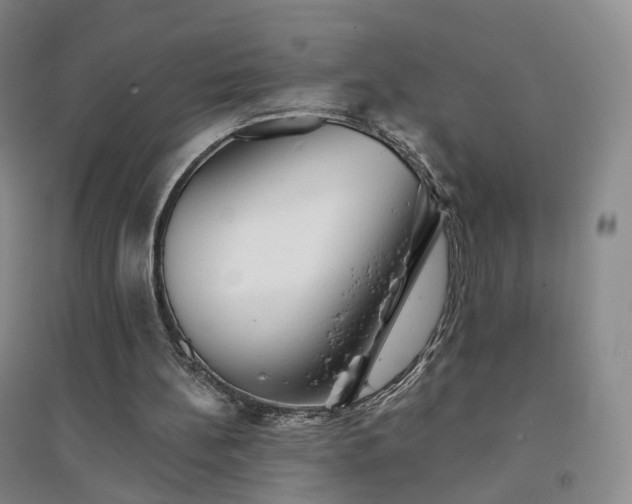 X0000094460148200711151458