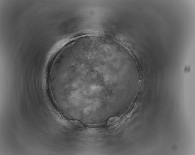 X0000094460149200711151458