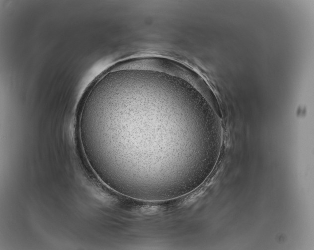 X0000094460152200711151458