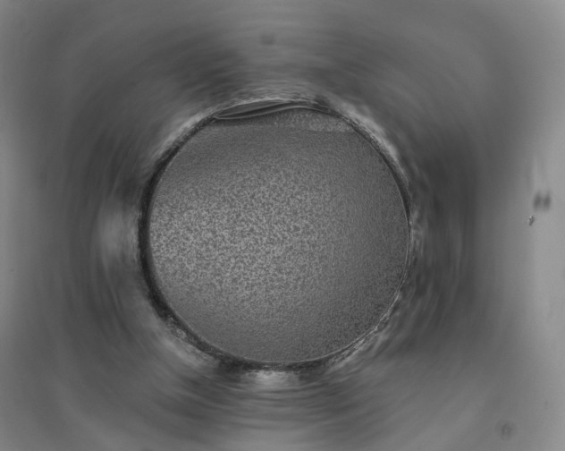 X0000094460154200711151458