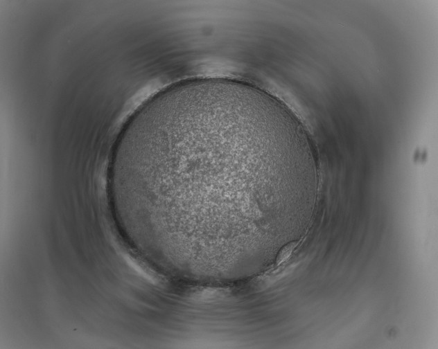 X0000094460155200711151458