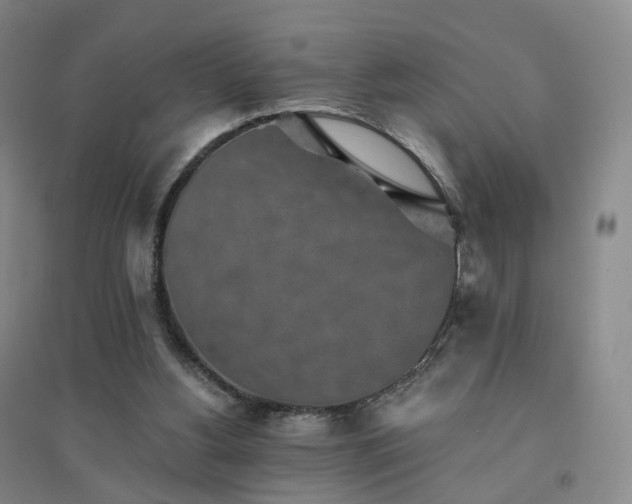X0000094460156200711151458