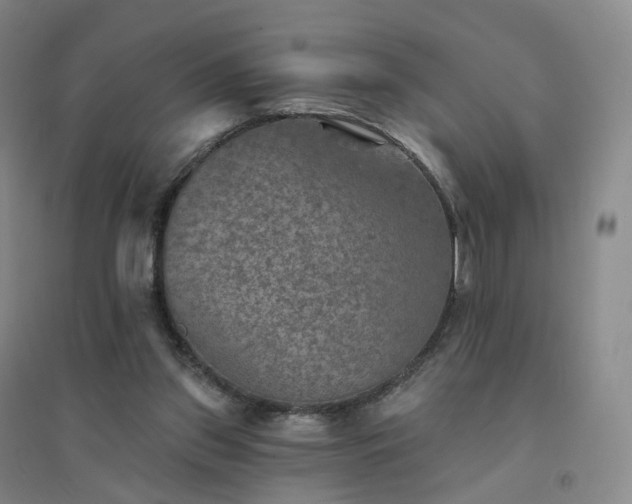 X0000094460157200711151458