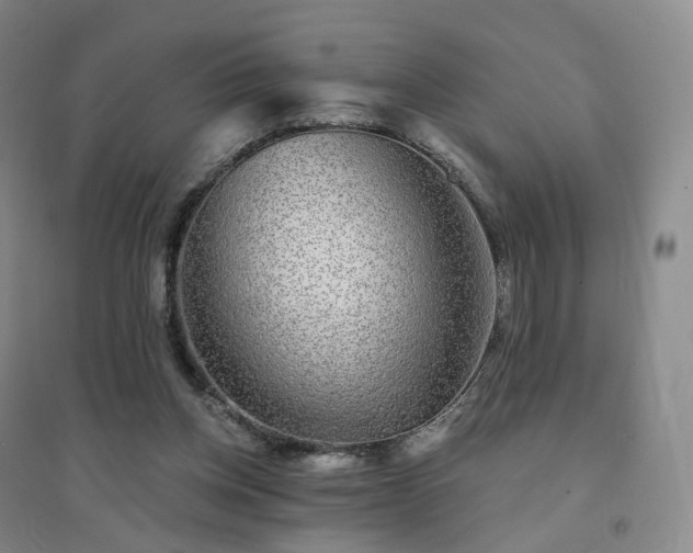 X0000094460158200711151458