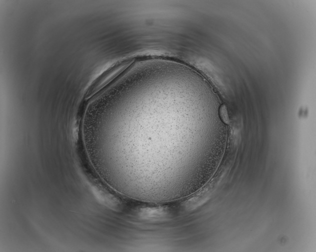 X0000094460160200711151458