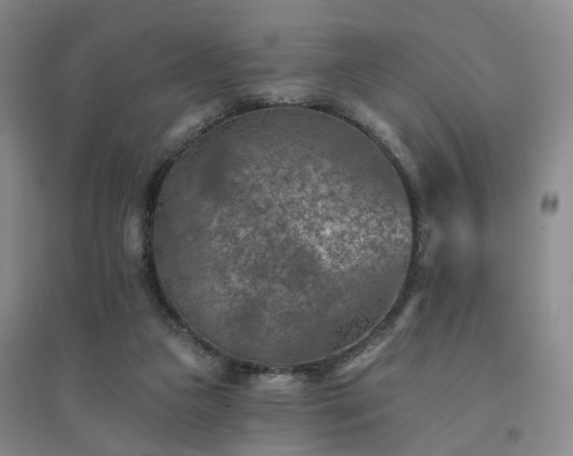 X0000094460161200711151458